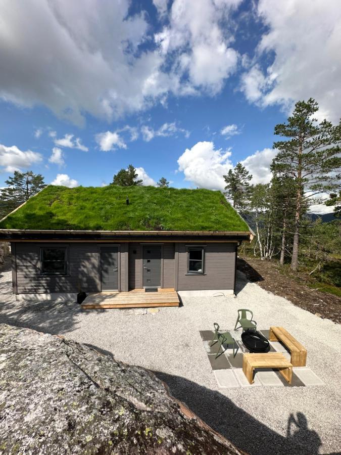 Modern Northern Lights Cabin Drangedal Εξωτερικό φωτογραφία