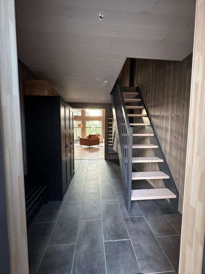 Modern Northern Lights Cabin Drangedal Εξωτερικό φωτογραφία
