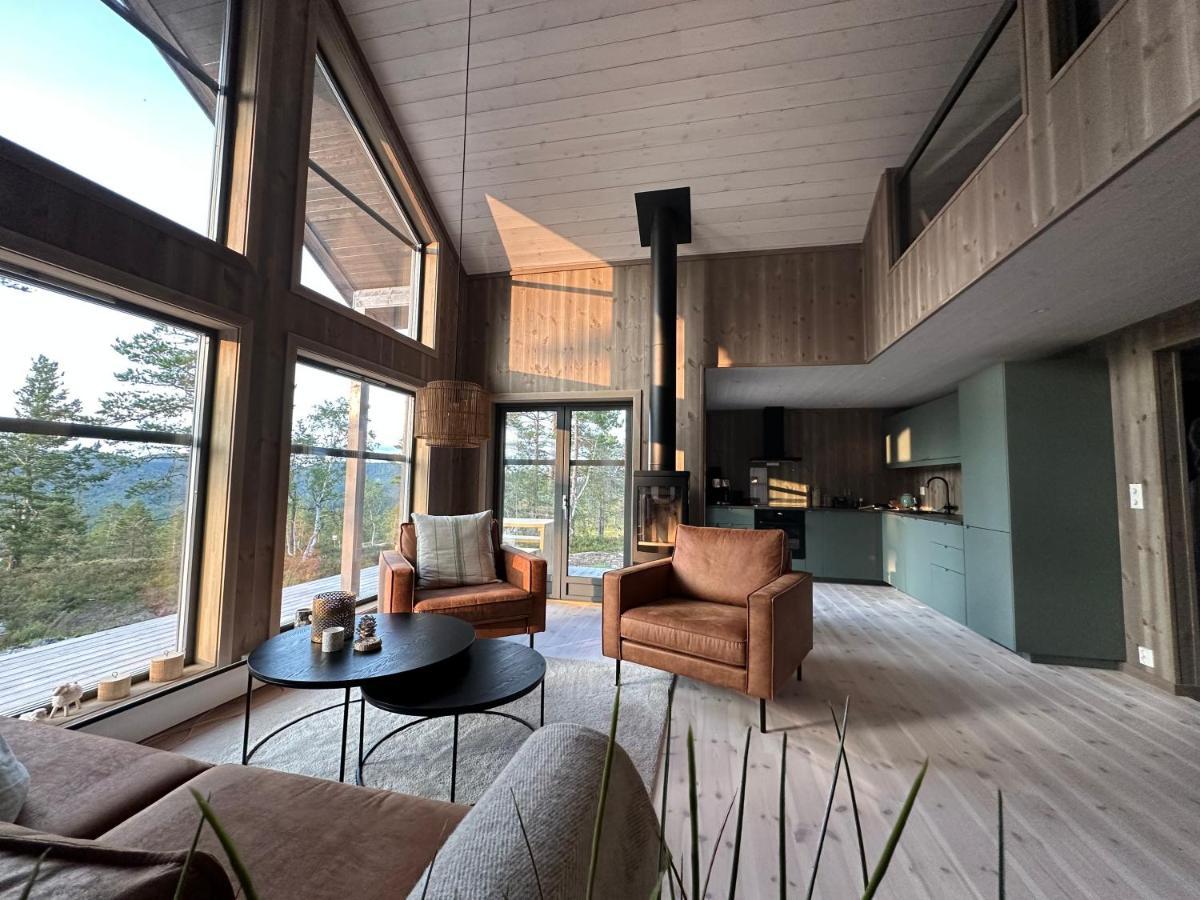 Modern Northern Lights Cabin Drangedal Εξωτερικό φωτογραφία