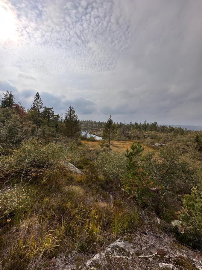 Modern Northern Lights Cabin Drangedal Εξωτερικό φωτογραφία