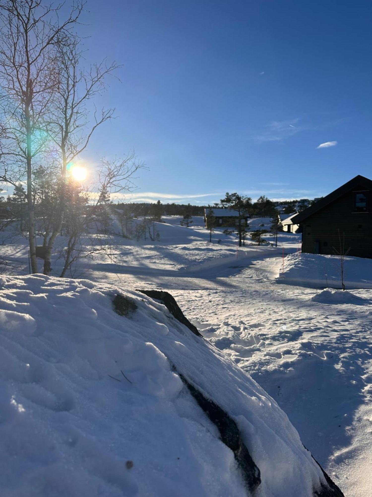 Modern Northern Lights Cabin Drangedal Εξωτερικό φωτογραφία