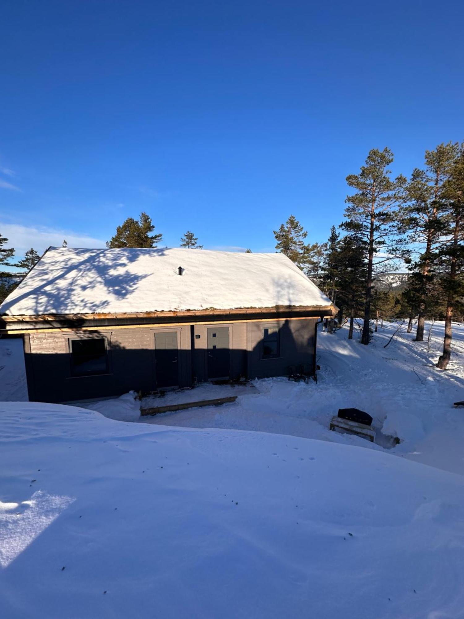 Modern Northern Lights Cabin Drangedal Εξωτερικό φωτογραφία
