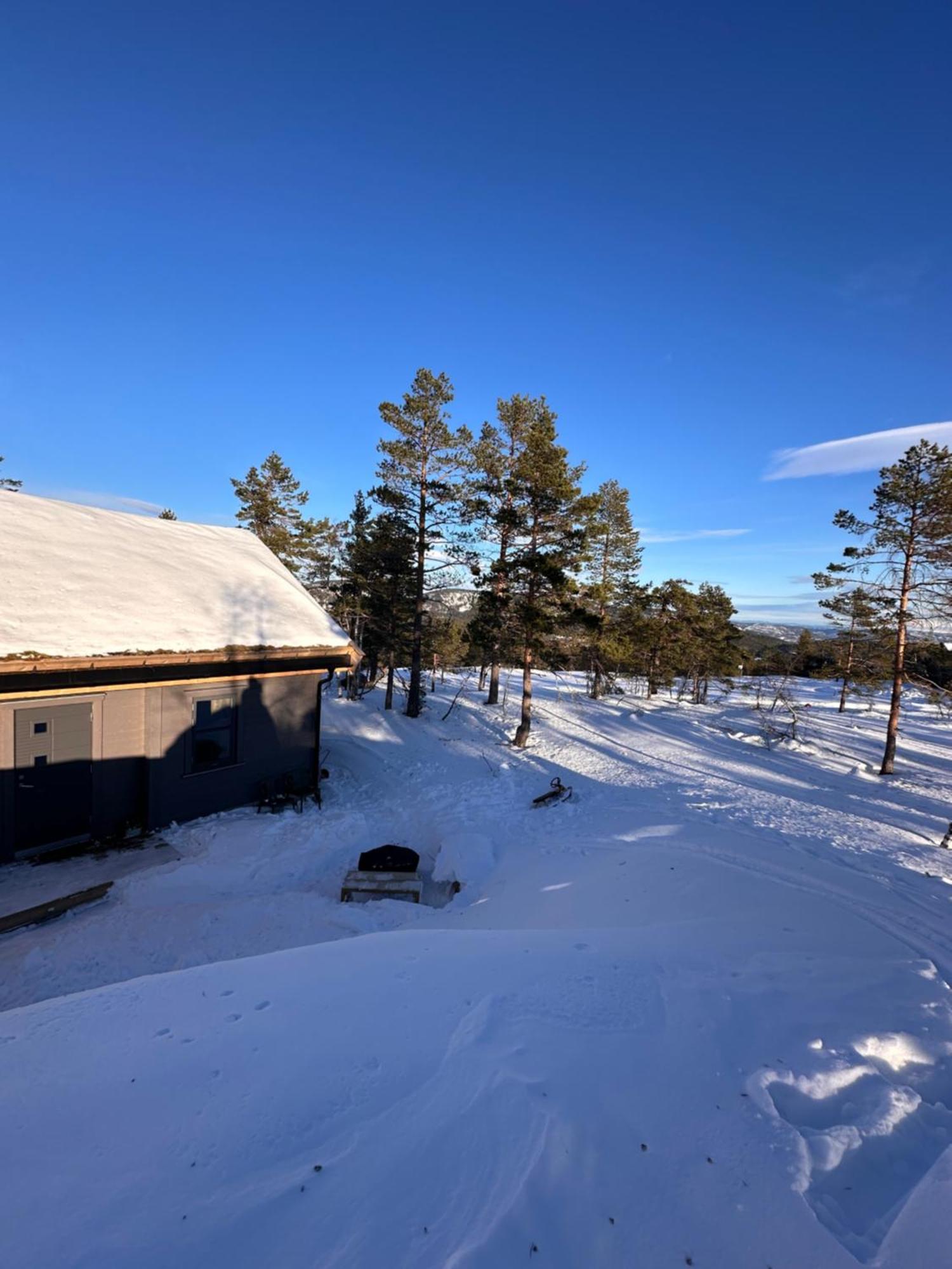 Modern Northern Lights Cabin Drangedal Εξωτερικό φωτογραφία