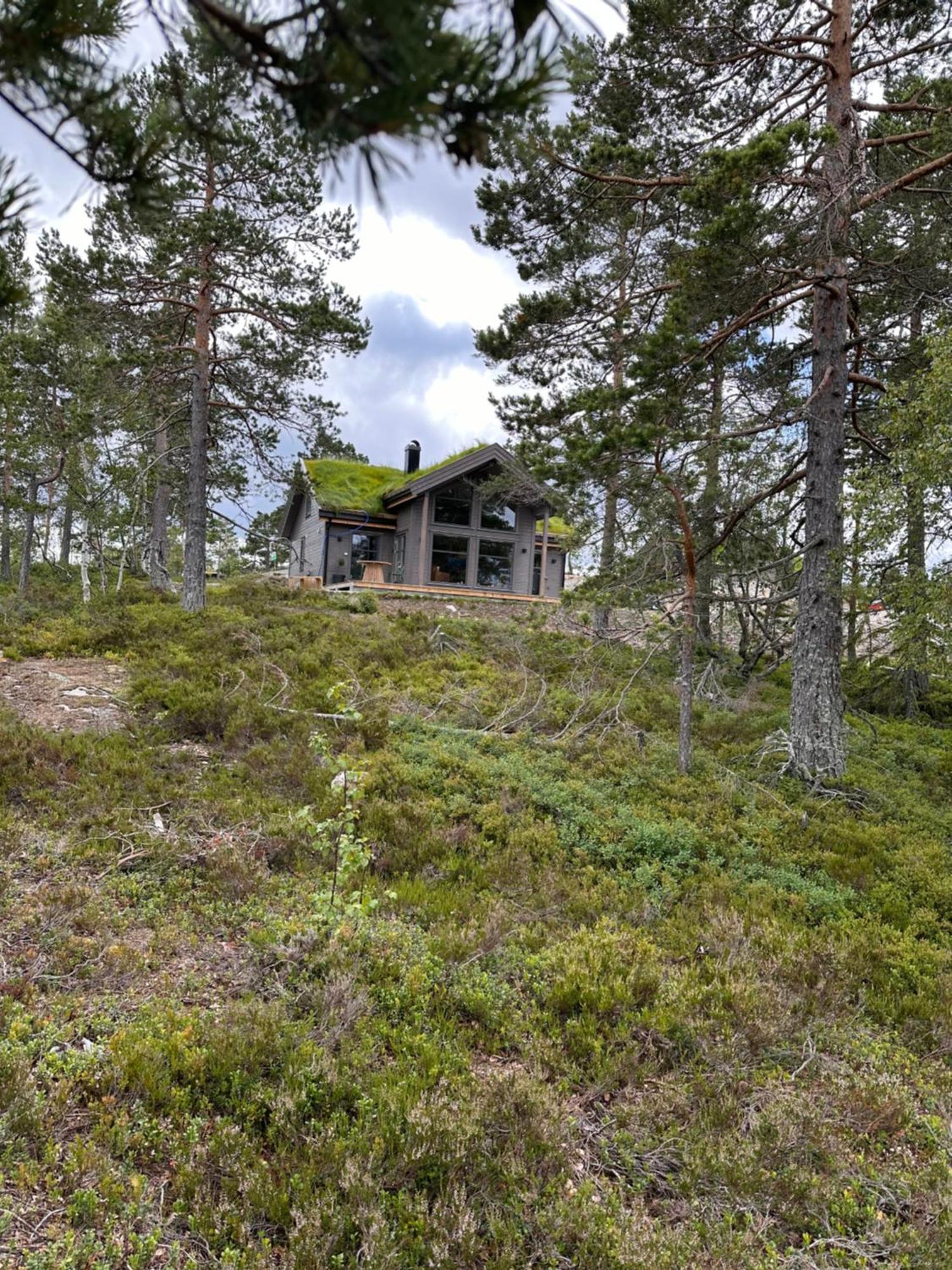 Modern Northern Lights Cabin Drangedal Εξωτερικό φωτογραφία