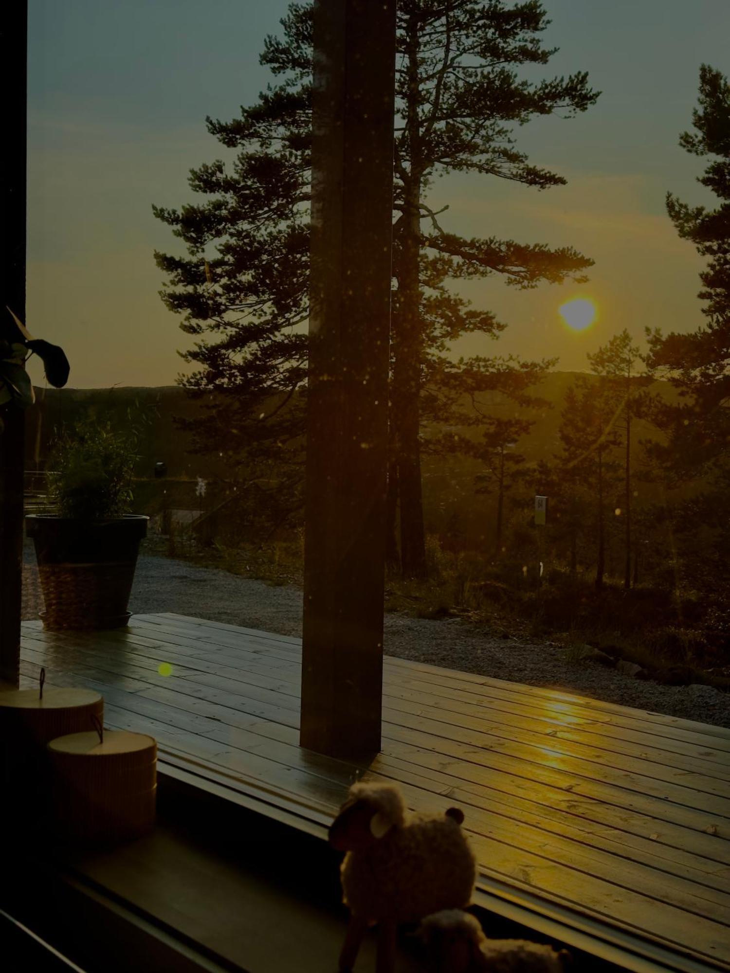 Modern Northern Lights Cabin Drangedal Εξωτερικό φωτογραφία