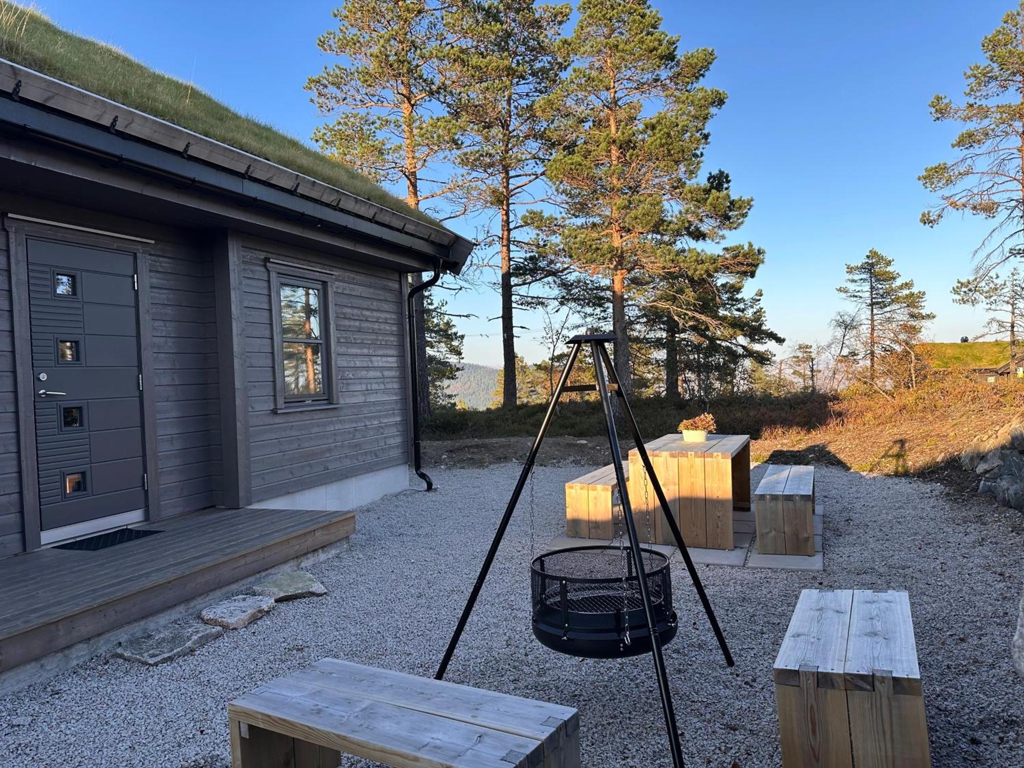 Modern Northern Lights Cabin Drangedal Εξωτερικό φωτογραφία