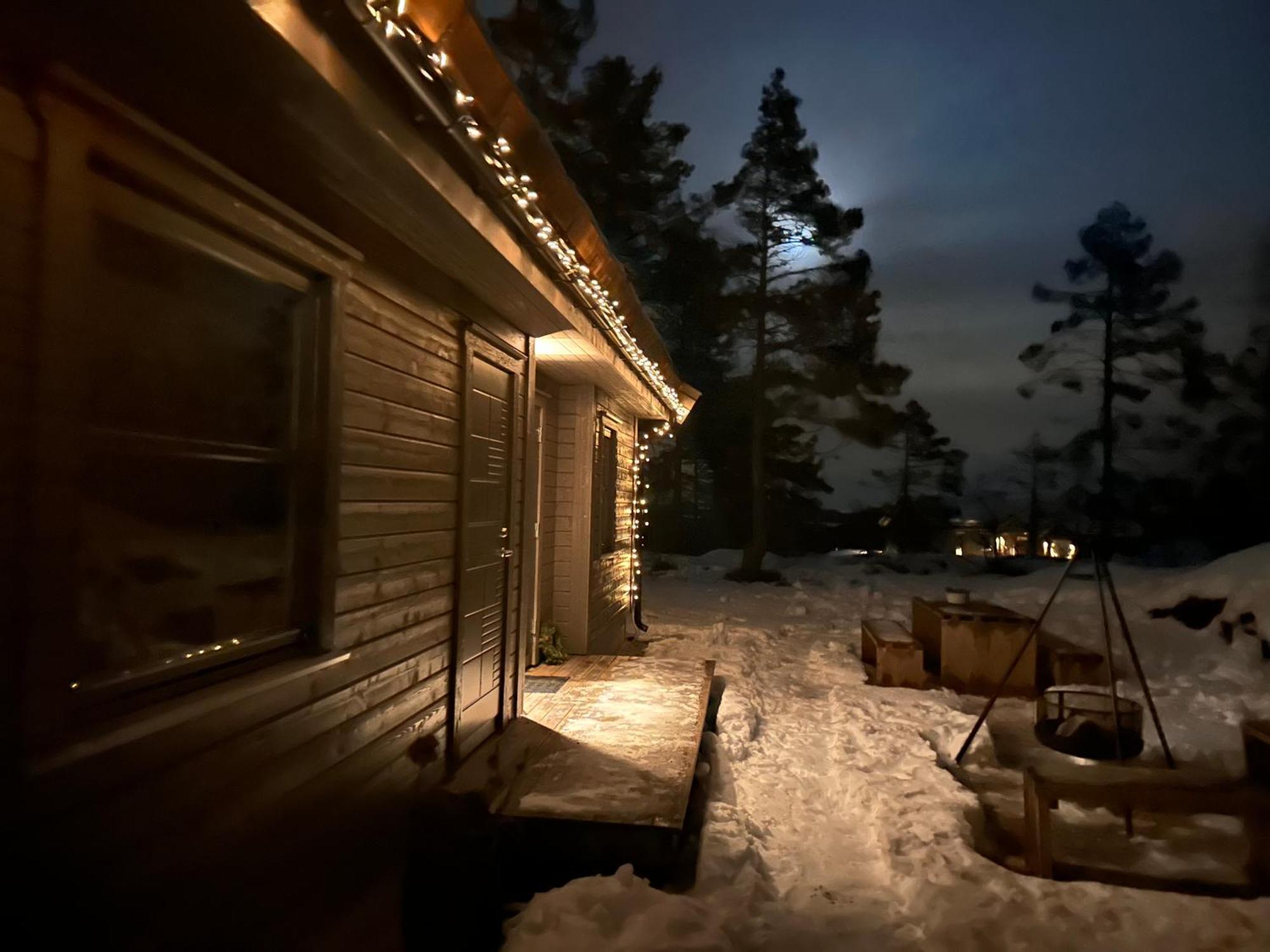 Modern Northern Lights Cabin Drangedal Εξωτερικό φωτογραφία